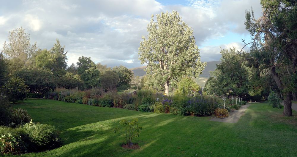 Le jardin botanique d'Akureyri