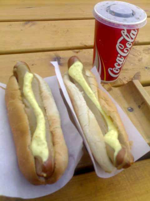 Un hot-dog islandais (pylsur)