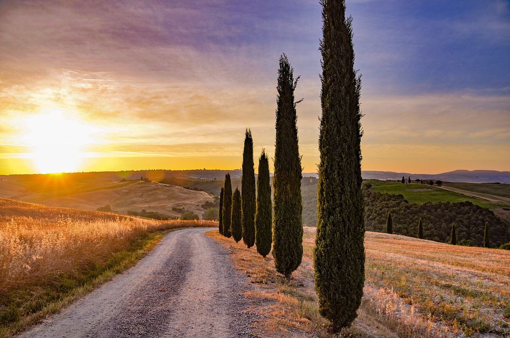 Chemin de gravier bordé de cyprès au lever du soleil, dans la campagne toscane du Val d'Orcia