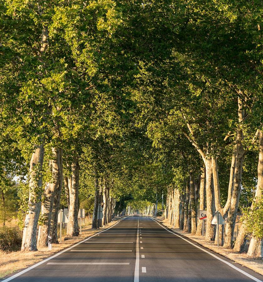 Louer une voiture au Portugal : prix, franchise et pièges