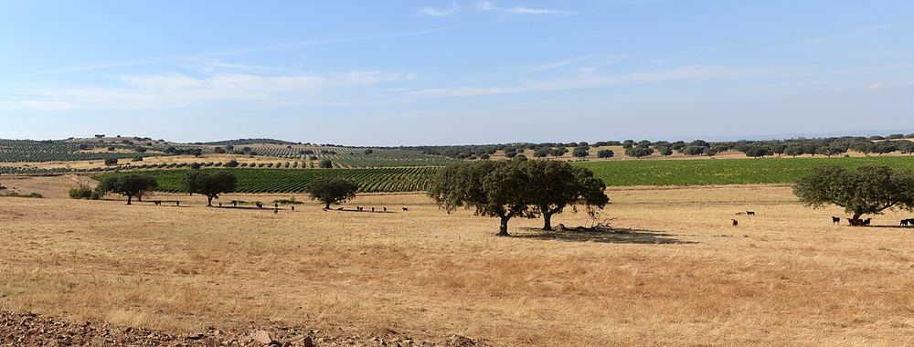 Quand partir au Portugal : la meilleure période région par région